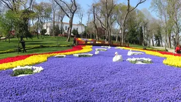 İstanbul'da 10 Milyon Lale Açtı