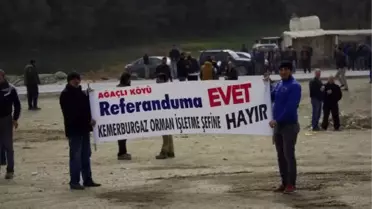 İstanbul'un 3 Köyünde Ağaç Budama Gerginliği