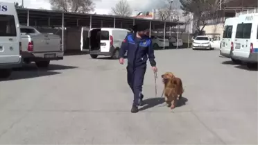 Terör ve Uyuşturucuyla Mücadelenin Keskin Burunları - Erzincan