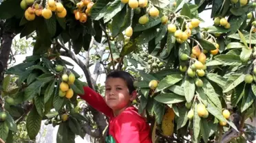 Yeni Dünya'nın Kilosu 10 Lira