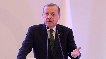 Belçikalı Vekilden Erdoğan'a '2. Putin' Benzetmesi