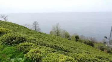 Rize-Artvin Havalimanı Deniz Dolgusu İçin 88.5 Milyon Ton Taşın Alınacağı Alanlar Belirlendi
