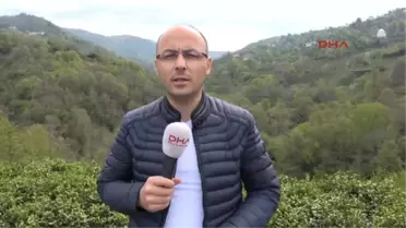 Rize-Artvin Havalimanı Deniz Dolgusu Için 88.5 Milyon Ton Taşın Alınacağı Alanlar Belirlendi