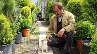 33 Yılını Doğaya Verdi