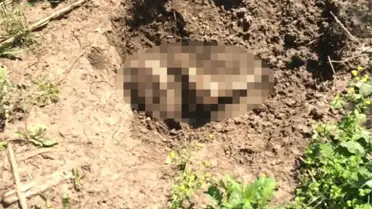 Adana'da Ormanlık Alanda Erkek Cesedi Bulundu