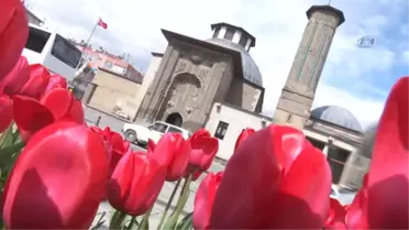 Milyonlarca Lale Konya'yı Süslüyor