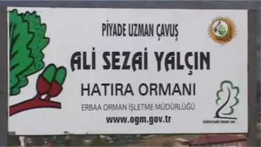 Şehit Asker Anısına Hatıra Ormanı