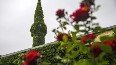 Botanik Bahçesi Gibi Cami
