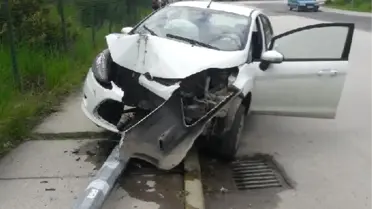 Arı Sokunca Kaza Yaptı