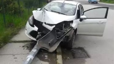 Arı Sokunca Kaza Yaptı