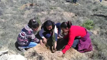Öğrenciler 2 Bin 500 Fidan Dikti