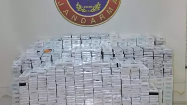 Türkoğlu'nda 49 Bin Paket Kaçak Sigara Ele Geçirildi