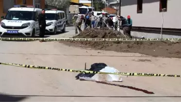 Suriyeli Mustafa, Halk Otobüsünün Altında Can Verdi