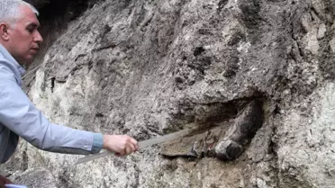 Rus Generalin Mezarında Askeri Bot ve İskeletleri Çıktı