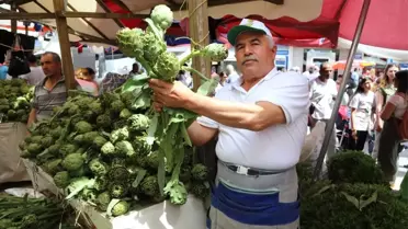 Enginar Üreticilerinin Yüzü Gülüyor