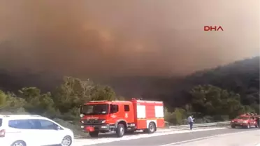 Çubuk'ta Orman Yangını