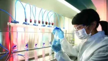 İkmib, Kimya İhracatının Şampiyonlarını Ödüllendirdi