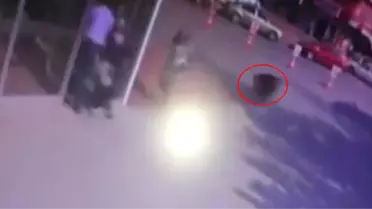 Konya'da Şehre İnen Yaban Domuzu Genç Kadını Kovaladı