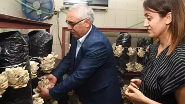 Kurs Sonunda İstiridye Mantarı Hasadı Yapıldı