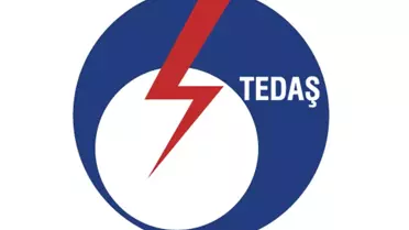 Tedaş ve Temsan Özelleştirme Kapsamından Çıkarıldı