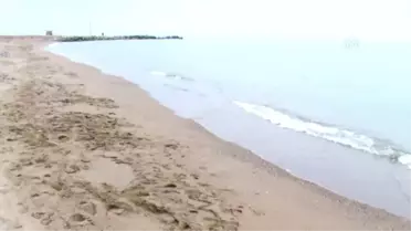 Içinde Mühimmat Bulunan Sandık Kıyıya Vurdu