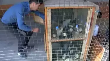 Bu Liseyi Bitiren İş Sorunu Yaşamıyor