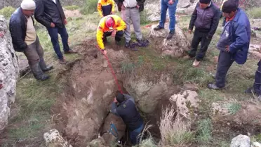 Çukura Düşen Büyükbaş Hayvanı Afad Ekipleri Çıkardı