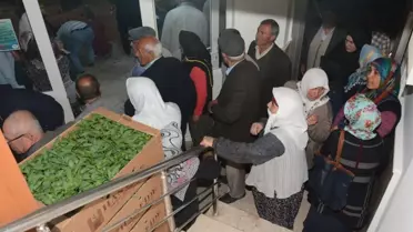 Aksaray'da Sebze Fidesi Dağıtıldı