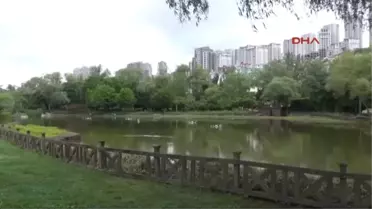 Bahçeşehir Gölet Projesine İlişkin Basın Açıklaması (Ek Havadan Görüntü)