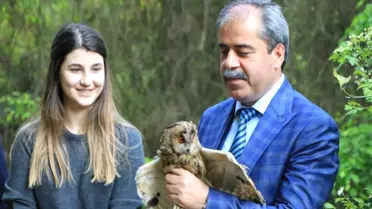 Emre Aşık'ın Eşine Veteriner Dövdüren Baykuş Doğaya Salındı