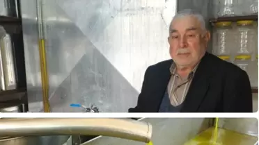 Kilis Zeytinyağında Bir Marka Olmaya Başladı