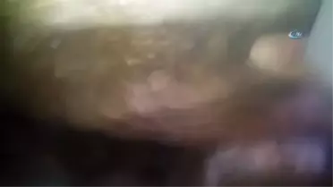 Kato'da Çok Sayıda Silah ve Mühimmat Ele Geçirildi