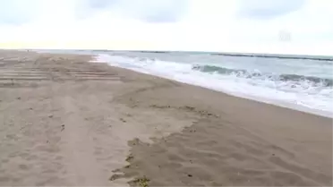 Karadeniz'de Batan Rus Gemisi - Mühimmat Sandığı Kıyıya Vurdu - Sakarya