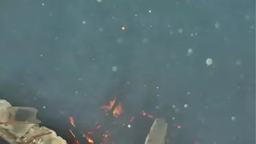 Sinop'ta Ahşap Ev Yangında Kül Oldu