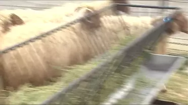 Gıda Tarım ve Hayvancılık Bakanı Faruk Çelik: 'Tarım Öyle Bir Sektör Ki, Her Şeyin Modası Geçer Ama...