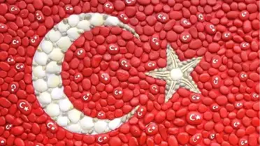 81 İlden 81 bayrak projesi