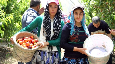 Gece 03.30'da Yola Düşüyorlar: Çoğu Kadın