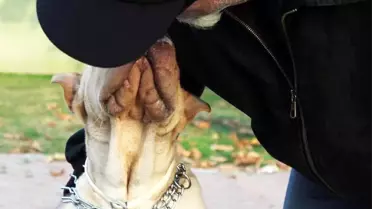 Güncelleme - Antalya'da 'Köpek Gezdirme' Cinayeti
