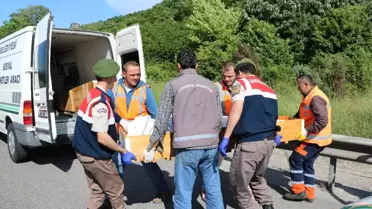 Lastiği Değiştirmek İçin Emniyet Şeridinde Bekleyen Tıra Otomobil Çarptı: 4 Ölü