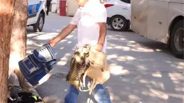 Çorum'da 49 Kaçak Göçmen Yakalandı