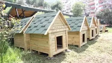Mahkumların Yaptığı Barınaklar Sokak Hayvanlarına Yuva Oldu