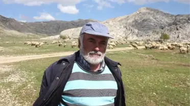 Gazipaşa'da Yörükler Yaylaya Göç Ediyor