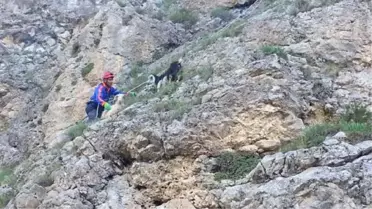 Afad'tan Keçi Kurtarma Operasyonu