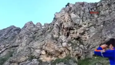 Erzincan'da Keçi Kurtarma Operasyonu