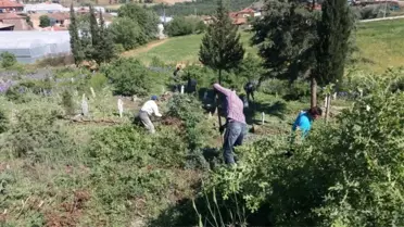 Köprübaşı'nda Mezarlıklar Temizleniyor
