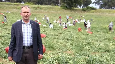 Tarlada 1,5 Lira Pazarda 3,5 Lira