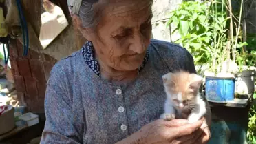 İzmir'deki Vahşet Hayvanseverleri Ayaklandırdı