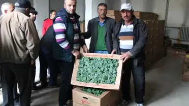 Bayburt'ta Çiftçilere Tohum ve Fide Desteği