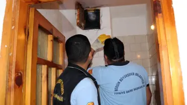 Havalandırma Boşluğuna Düşen Kedi Operasyonla Kurtarıldı