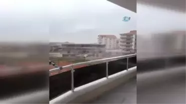 Şiddetli Rüzgar Ağaçları Yerinden Söktü